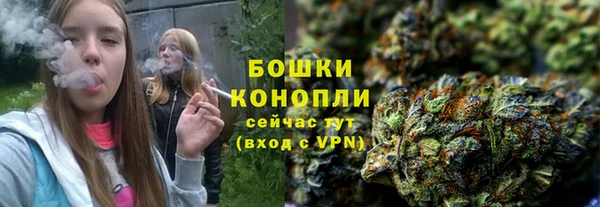 дживик Аркадак