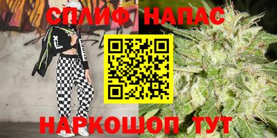 стаф Рыбинск