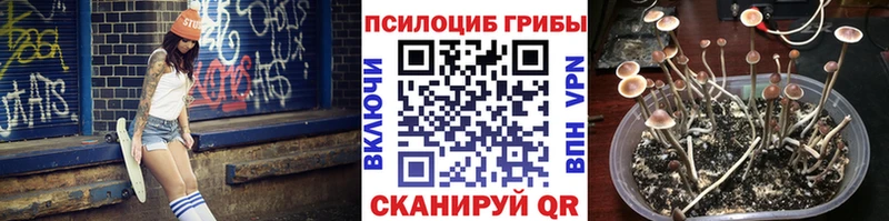 где можно купить   Полысаево  Псилоцибиновые грибы прущие грибы 