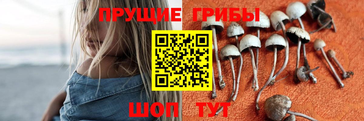 Галлюциногенные грибы MAGIC MUSHROOMS Полысаево